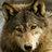OldWulf