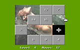 [15 Move Hole Puzzle - скриншот №7]