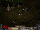 [Скриншот: Diablo II]