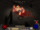 [Скриншот: Diablo II]