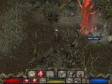 [Скриншот: Divine Divinity]