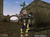 [Скриншот: The Elder Scrolls III: Morrowind]