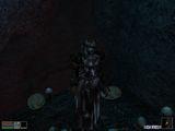 [Скриншот: The Elder Scrolls III: Morrowind]