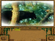 Jungle Book