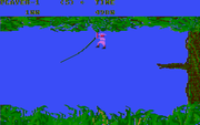 Jungle Hunt