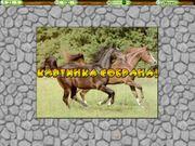 Mega Puzzle