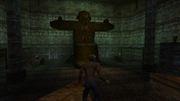 Shadow Man