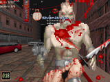[Скриншот: Shadow Warrior]