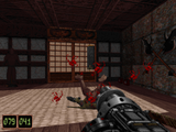 [Скриншот: Shadow Warrior]